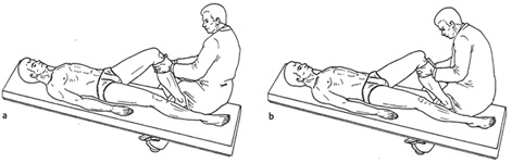 Dolor rodilla causas Dolor rodilla causas