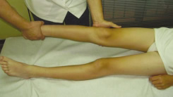 Fisioterapia rodilla: ligamentos