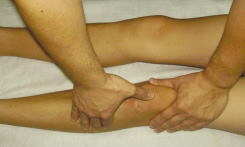 Fisioterapia rodilla: palpación