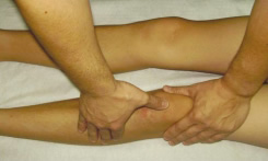 Fisioterapia rodilla: palpación Fisioterapia rodilla: palpación