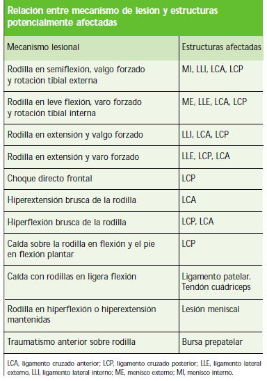 Fisioterapia rodilla