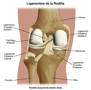 Lesión de ligamentos rodilla