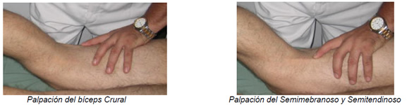 Rodilla con dolor Rodilla con dolor